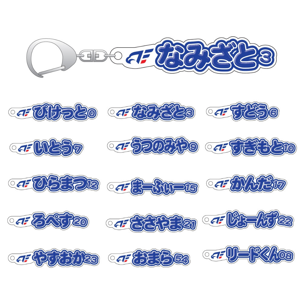 せんしゅめいあくりるきーほるだー 詳細画像 1カラー 2