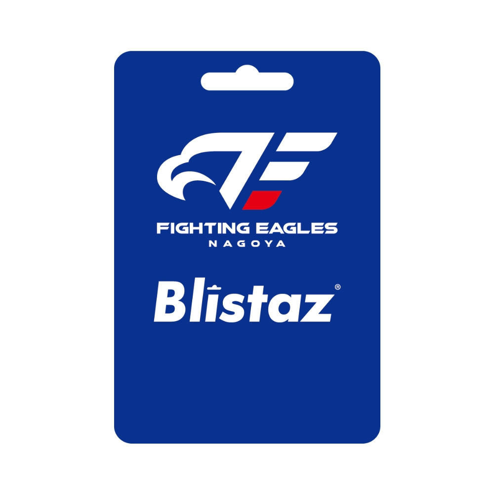 ブリスターズキーホルダー 詳細画像 #0 PICKETT 2