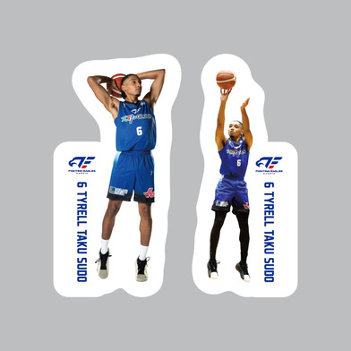 選手ステッカー(2枚組)