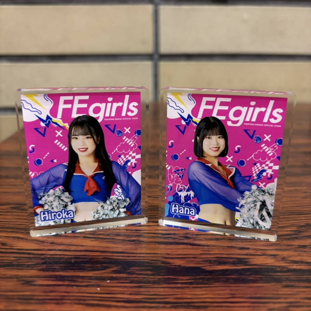 FEgirlsアクリルブロック 詳細画像 1カラー 1
