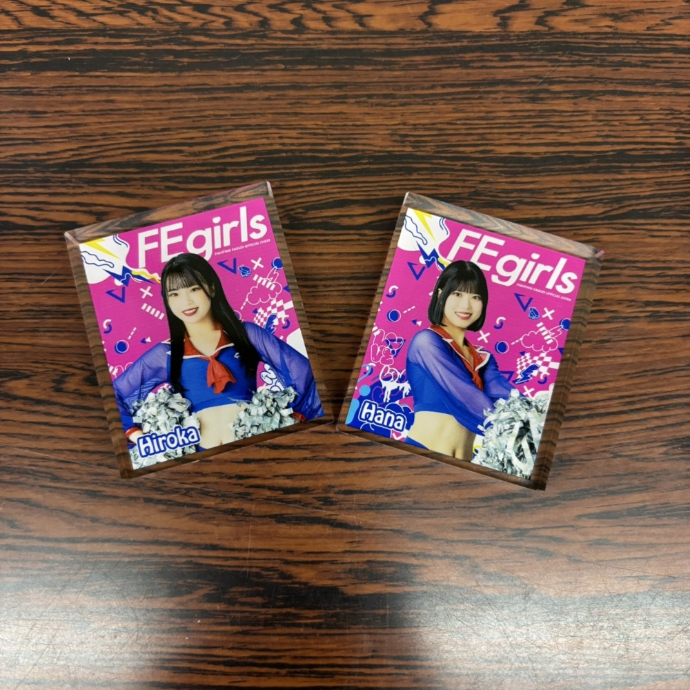 FEgirlsアクリルブロック 詳細画像 1カラー 2