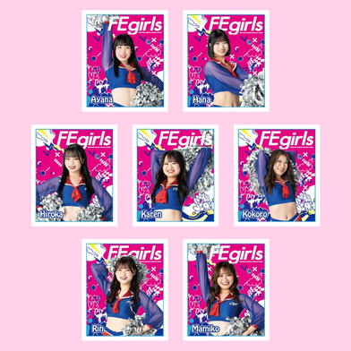 FEgirlsアクリルブロック コンプリートセット