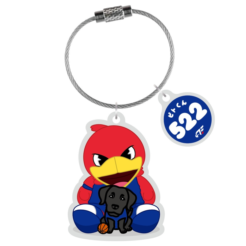 「特大リードくんといっしょ」ワイヤーリングキーホルダー 詳細画像 #522 ピトくん 1