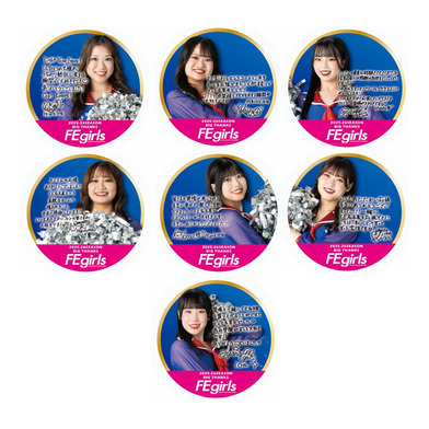FEgirls THANKS缶バッジ