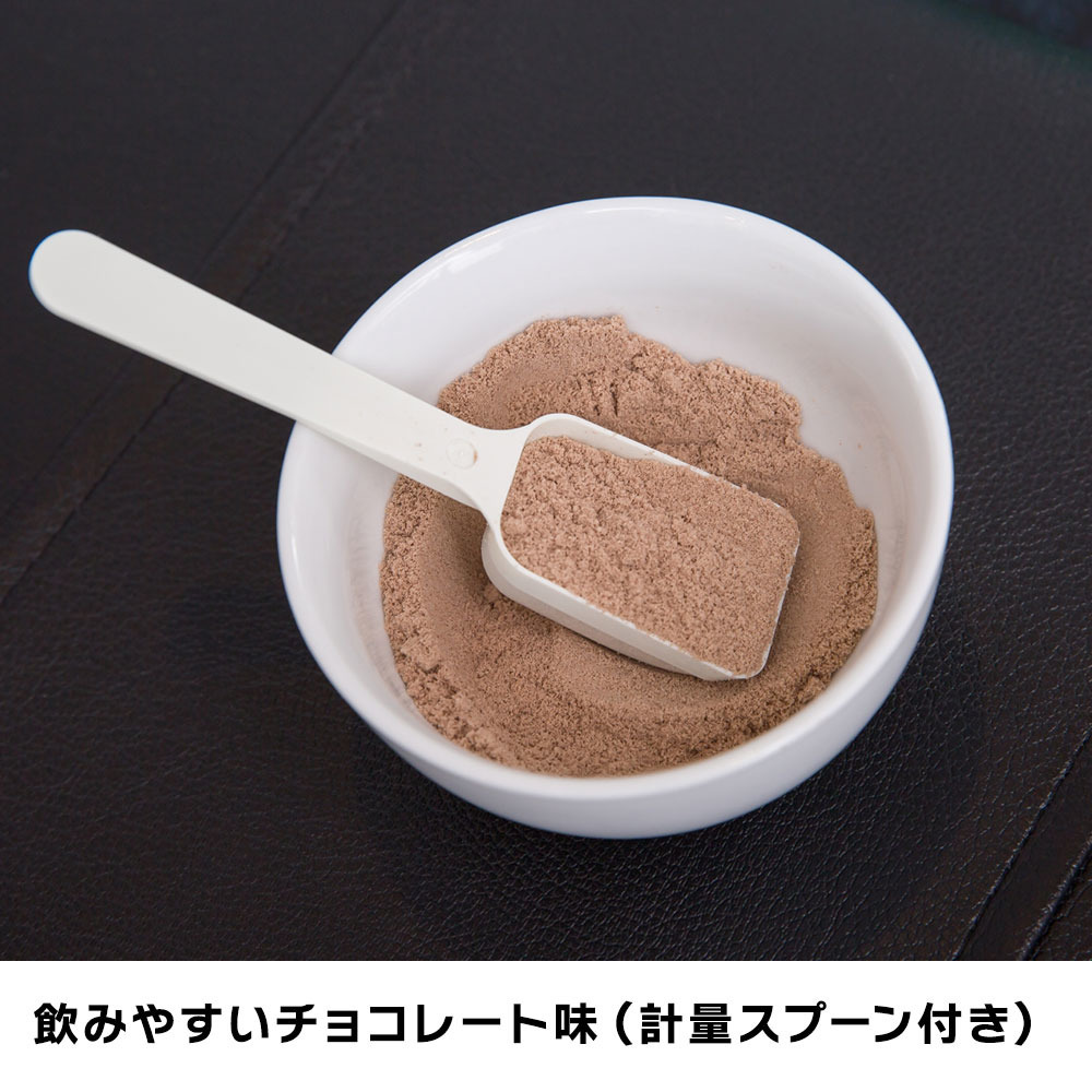 ボンズプロテイン ホエイ 100 チョコレート味 1kg 約50食分 福島ファイヤーボンズ B League Bリーグ 公式オンラインショップ