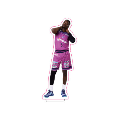 プレーヤーズアクスタ