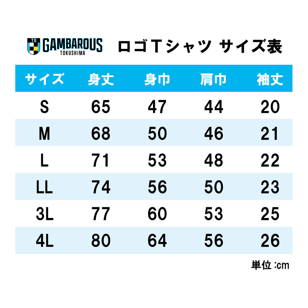 2025-26 PLAYOFFTシャツ 詳細画像 S.BLU 3