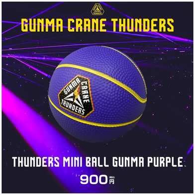 サンダーズミニボール