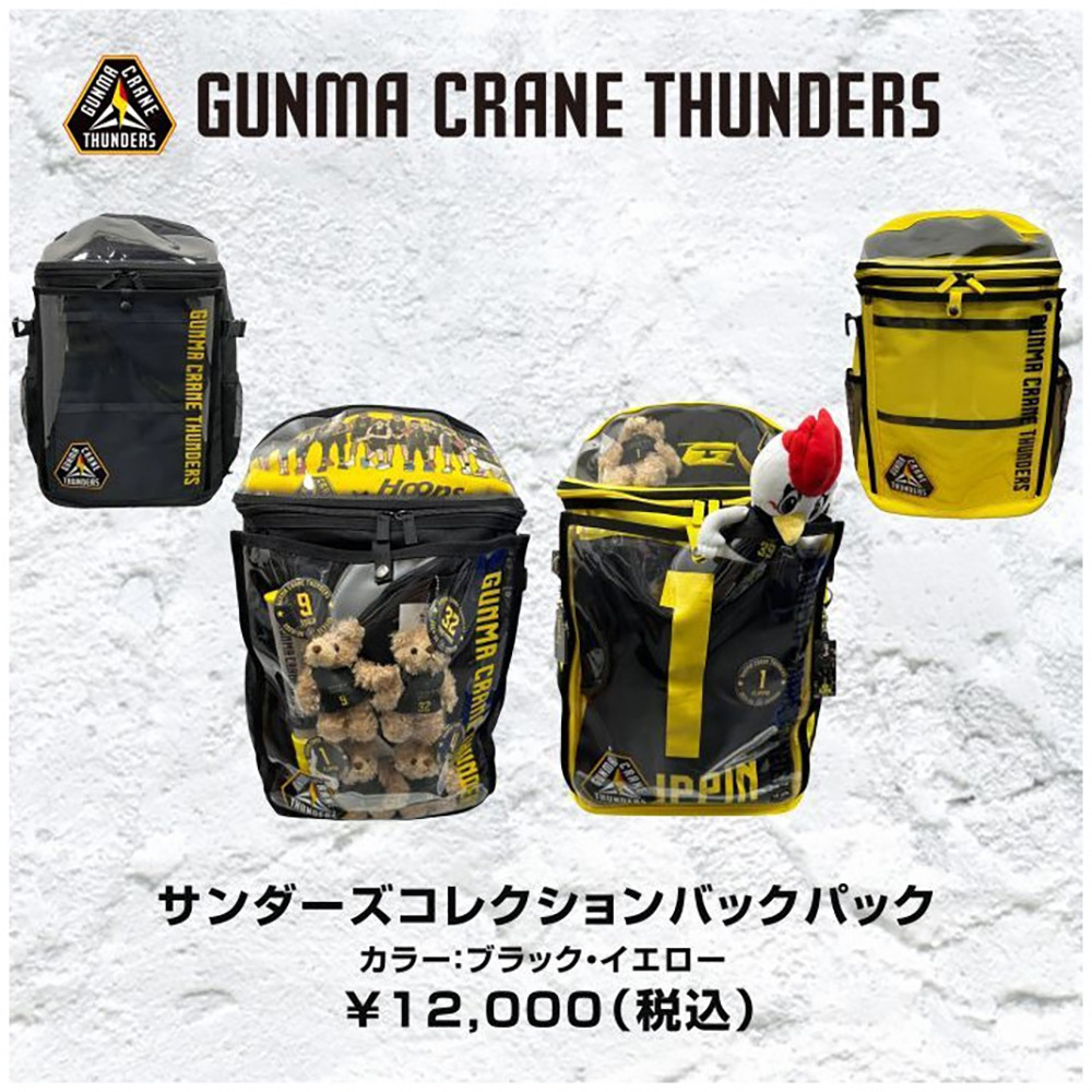 サンダーズコレクションバッグパック｜群馬クレインサンダーズ｜B