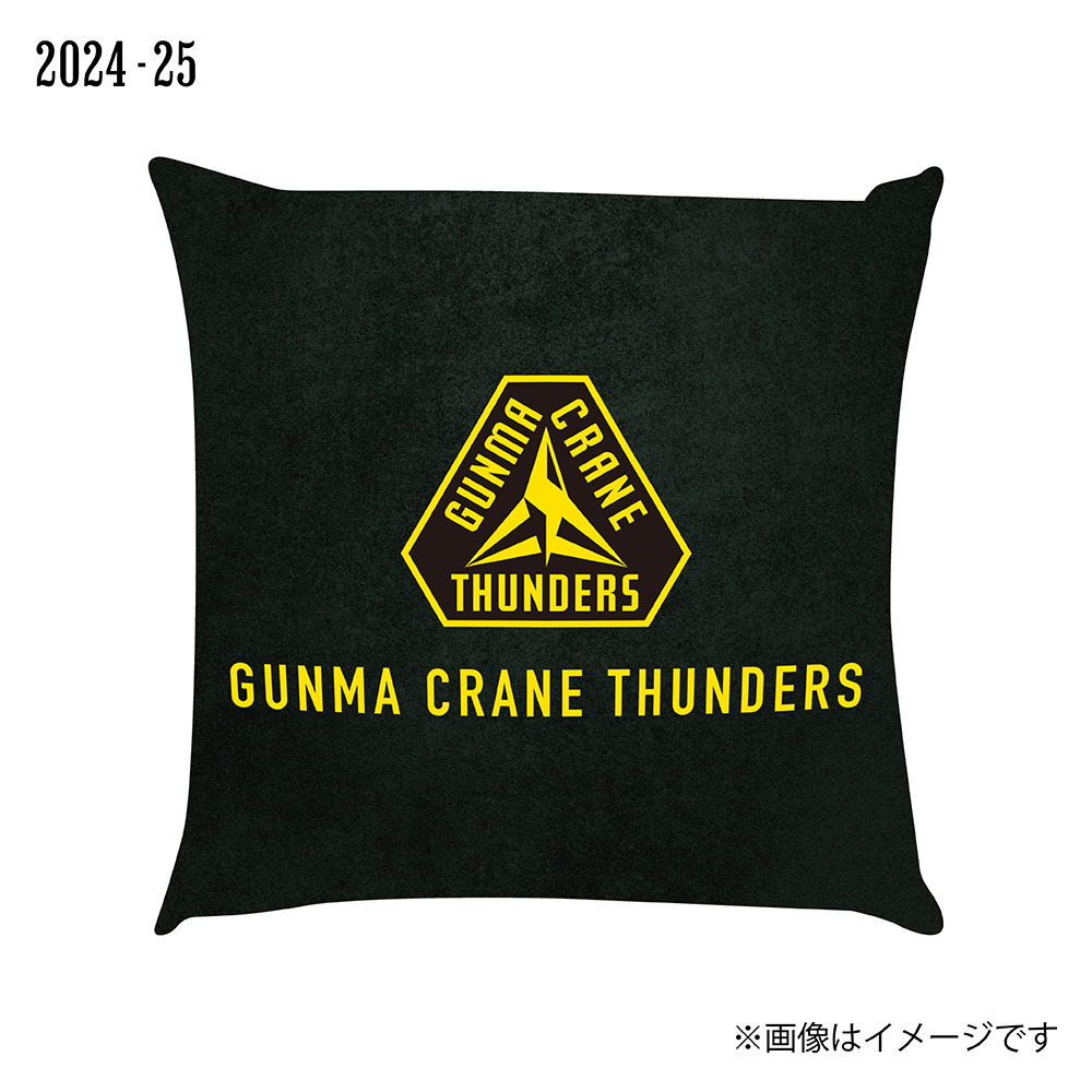 2024-25 メモリアルグッズ_クッション 詳細画像 ワンカラー 2