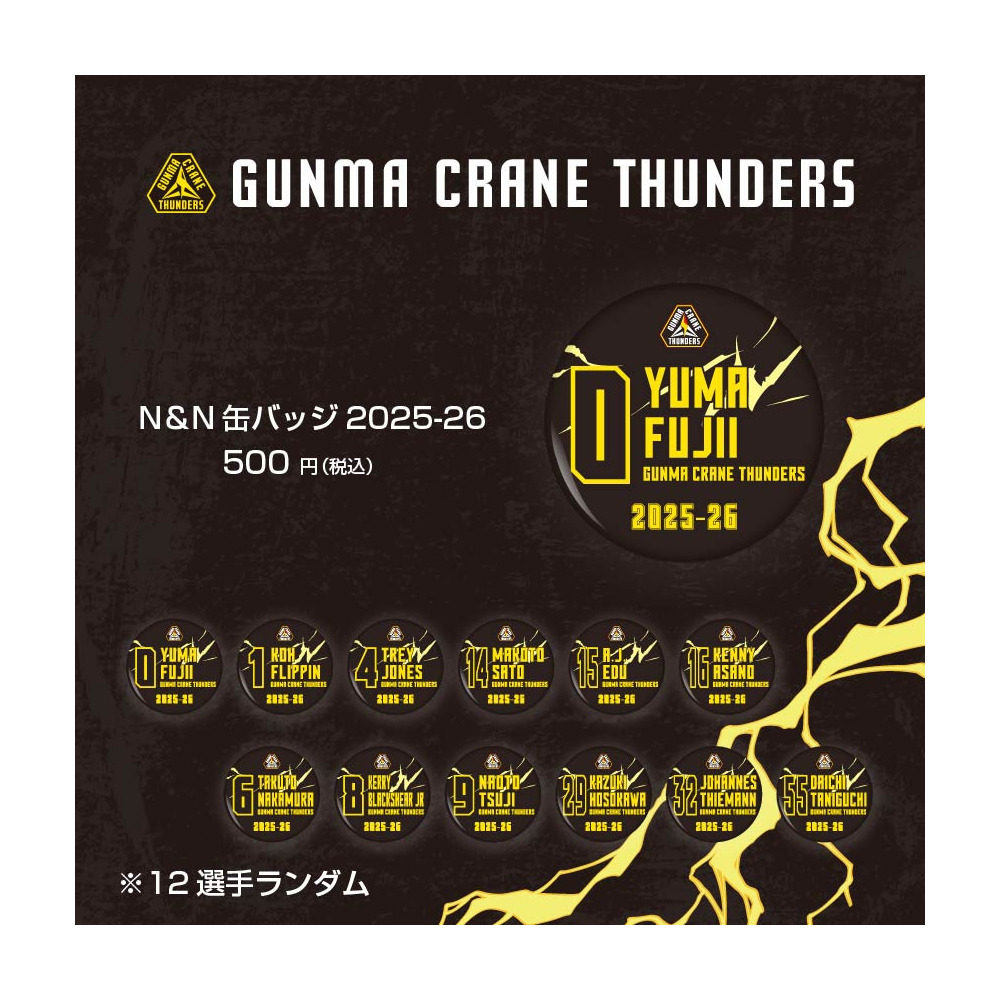 群馬クレインサンダーズ2024-2025 　来場記念ピンバッチ 群馬クレインサンダーズ2024-2025 来場記念ピンバッチ