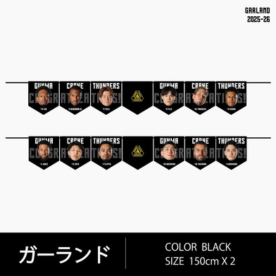 群馬クレインサンダーズ｜B.LEAGUE（Bリーグ）公式オンライン