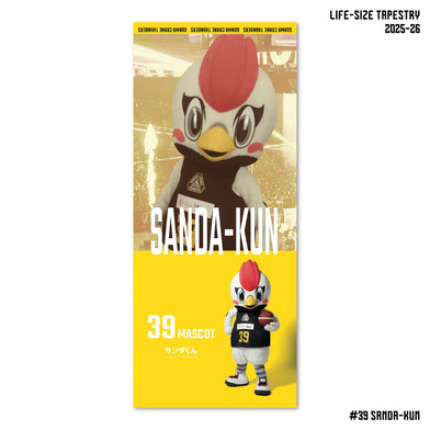 【EC限定】 プレーヤーズ ビックスクリーン タペストリー 2025-26