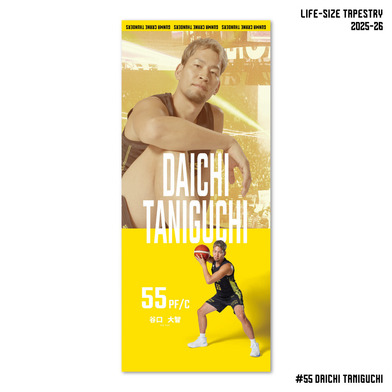 【EC限定】 プレーヤーズ ビックスクリーン タペストリー 2025-26