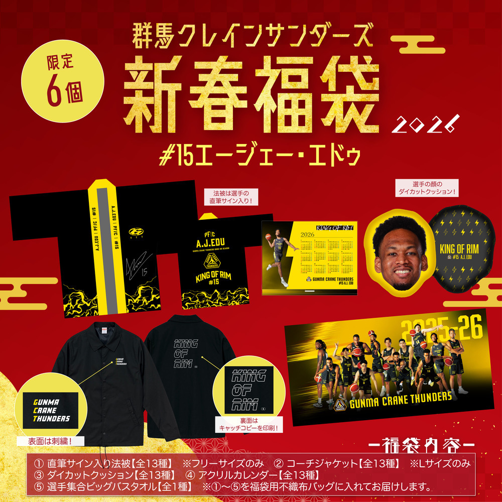 数量限定品新品未開封　群馬クレインサンダーズメガサンダくん サンダーズマスコット・サンダくんPRに参上 バスターミナル管理棟に