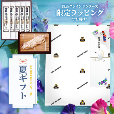 【EC限定】 GCTオリジナル包装紙ギフト 稲庭手延うどん 5本