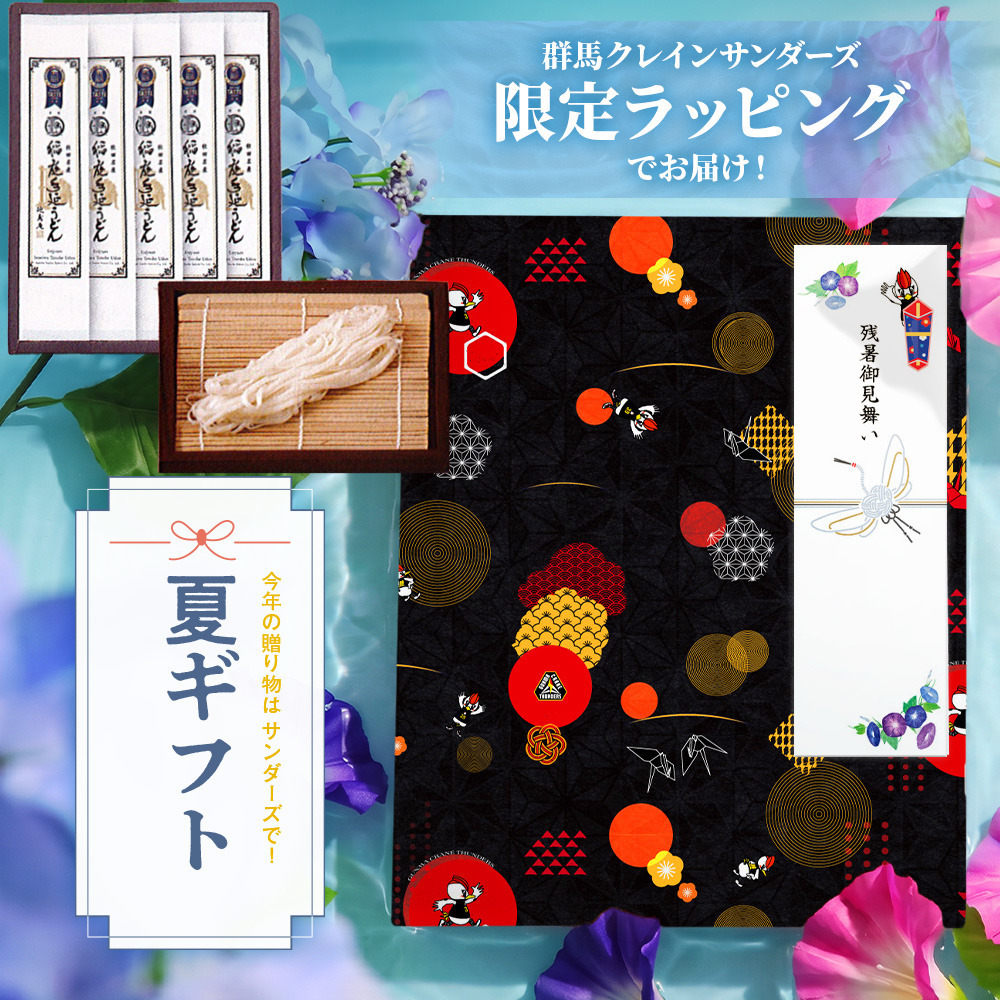 【EC限定】 GCTオリジナル包装紙ギフト 稲庭手延うどん 5本 詳細画像 サンダくん和モダン柄 1