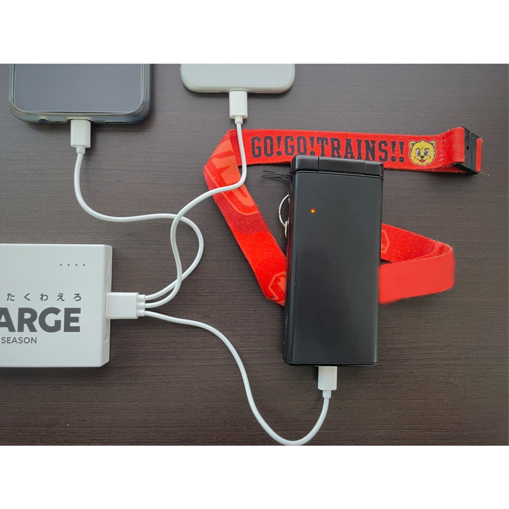 モバイルチャージャー&ケーブル（Micro USB, Lightnig, Type C 対応） 詳細画像 1カラー 4
