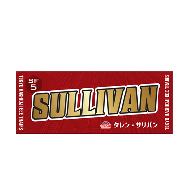 推しタオル25-26