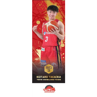 選手ミニのぼり