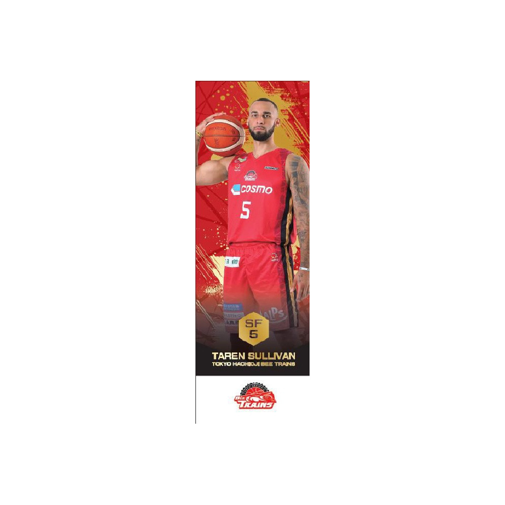 選手ミニのぼり 詳細画像 #5 SULLIVAN 1