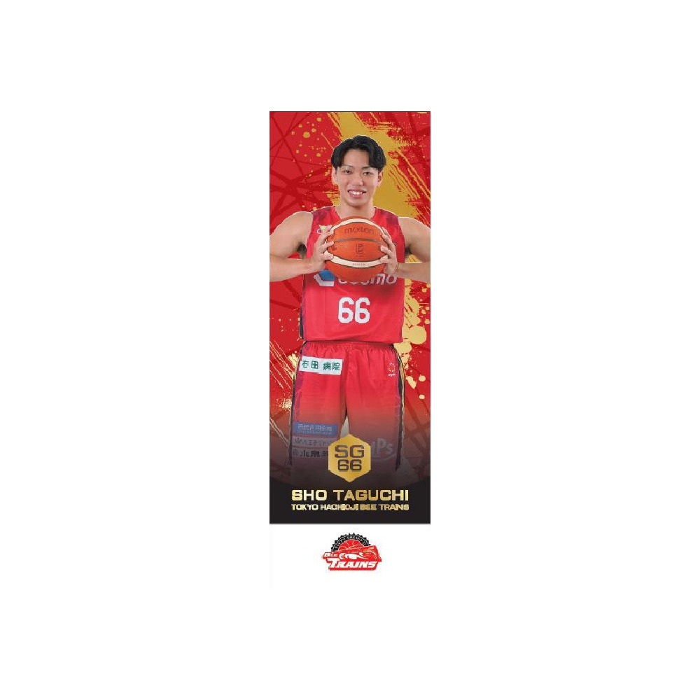 選手ミニのぼり｜東京八王子ビートレインズ｜B.LEAGUE（Bリーグ）公式