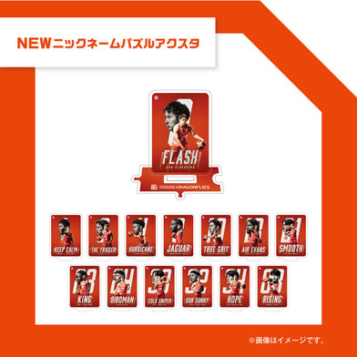 【ガチャ】　NEWニックネームパズルアクスタ