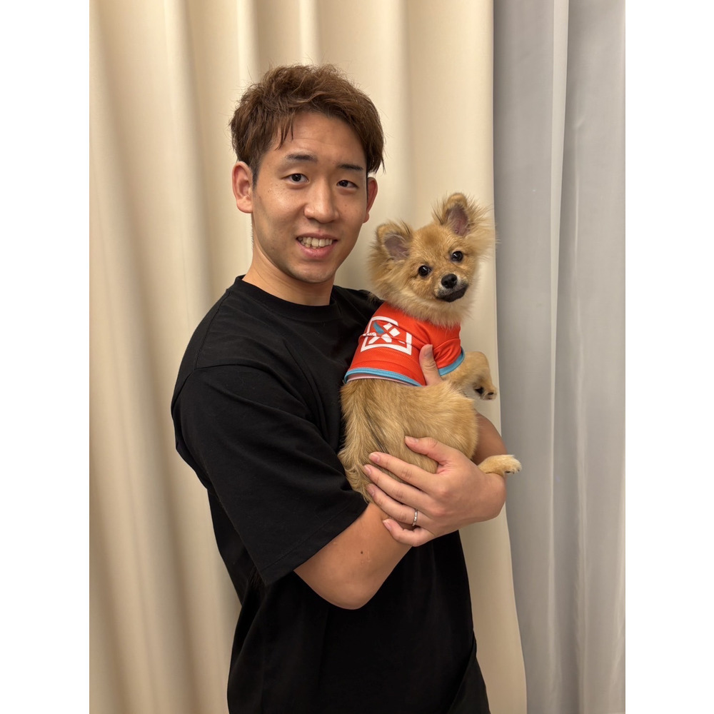 ペット用シャツ 詳細画像 2