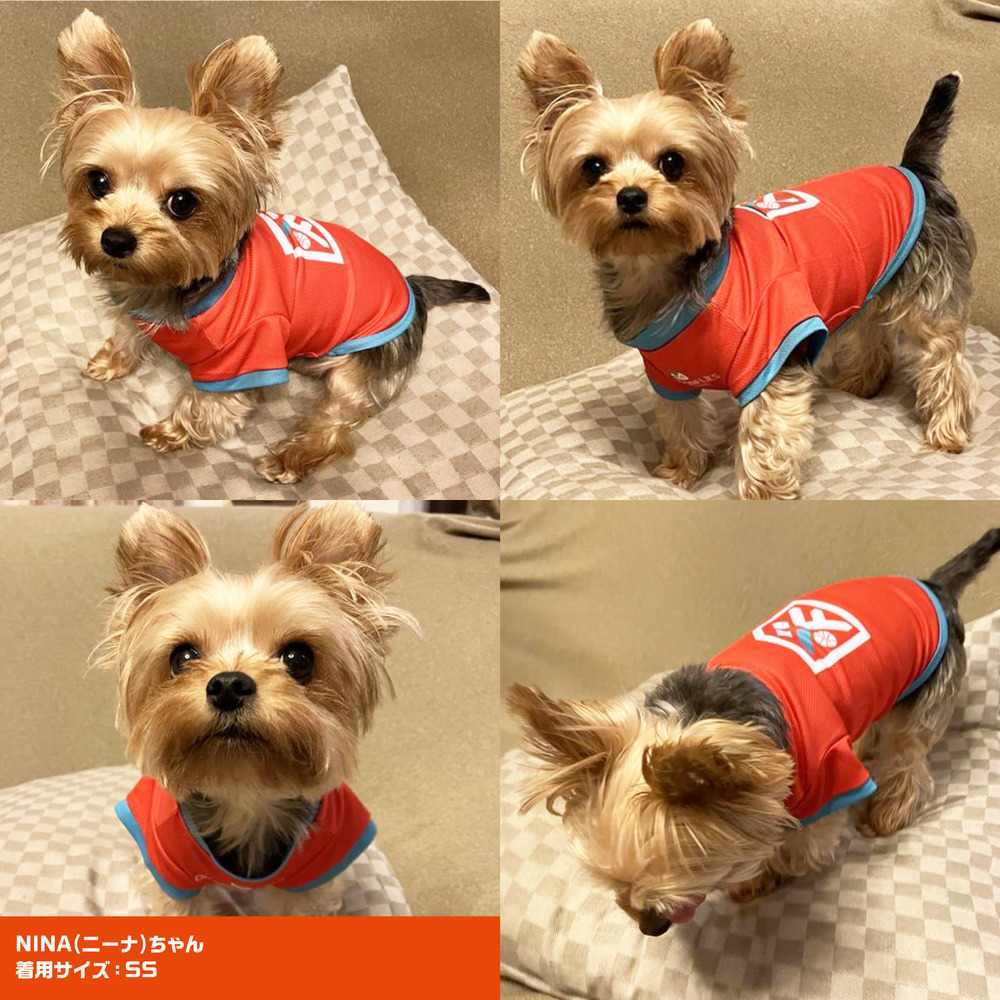 ペット用シャツ 詳細画像 3