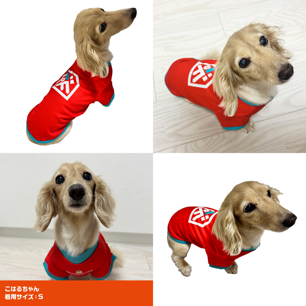 ペット用シャツ 詳細画像 4