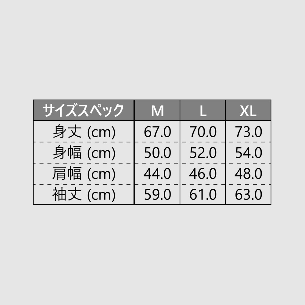 Champion HIROSHIMA PRIDE LONG T-SHIRT 詳細画像 WHITE 4