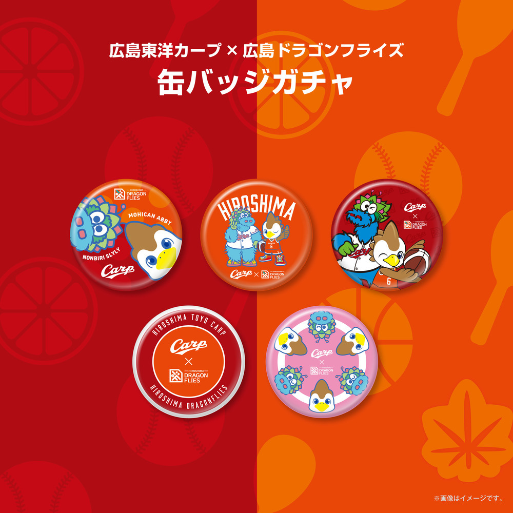 【ガチャ】広島東洋カープ&times;広島ドラゴンフライズ　缶バッジ2025 詳細画像 1カラー 1