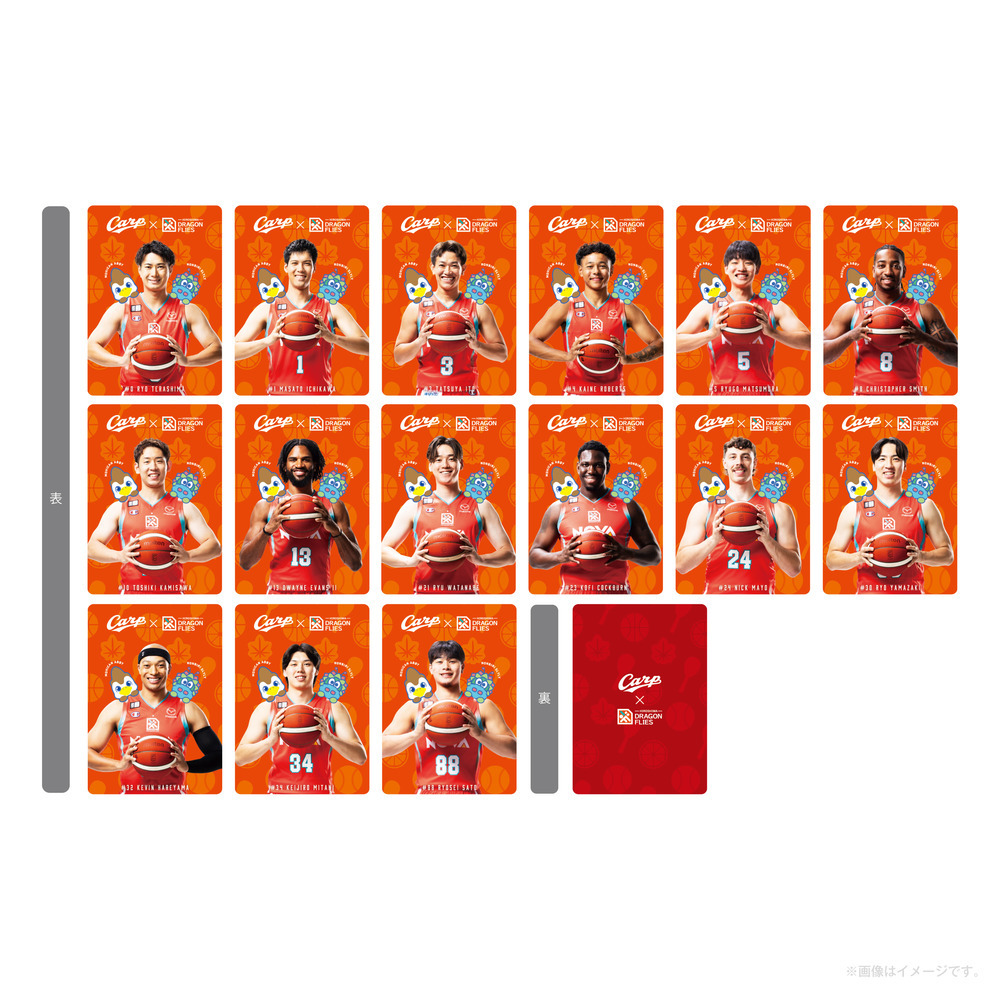 【広島東洋カープ×広島ドラゴンフライズ】選手フォト下敷き 詳細画像 #0 寺嶋良 2