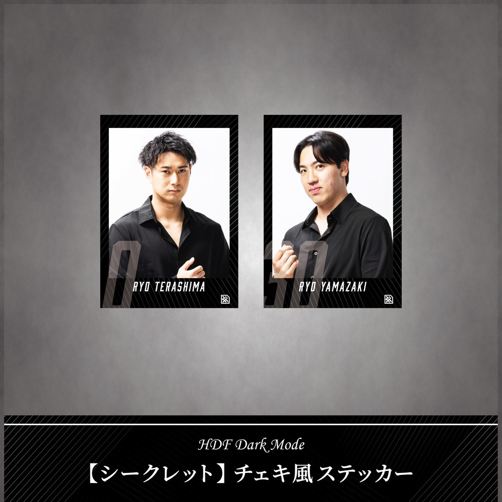 ■HDF Dark Mode■【シークレット】チェキ風ステッカー 詳細画像 1カラー 1