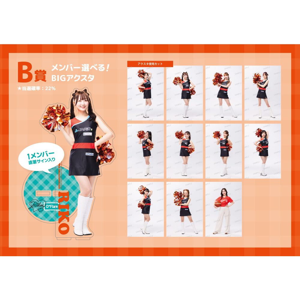 【4/9(木)18:00～販売】★オンラインショップ限定★D*Flare&MIYUKO オンラインくじ 詳細画像 1カラー 3