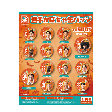 【シークレット】選手かぼちゃ缶バッジ