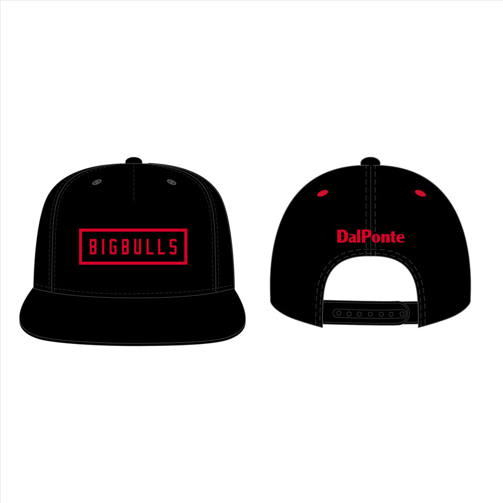 Snapback CAP（刺繍ワッペンタイプ）/BLACK 詳細画像 1カラー 1