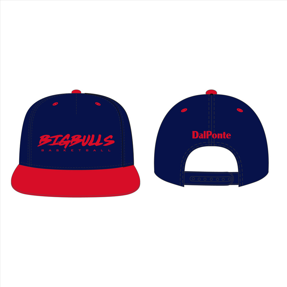 Snapback CAP（刺繍タイプ）/NAVY 詳細画像 1カラー 1