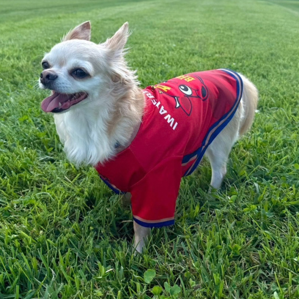 【受注商品】　ドッグユニフォーム　中・大型犬用 詳細画像 1カラー 4