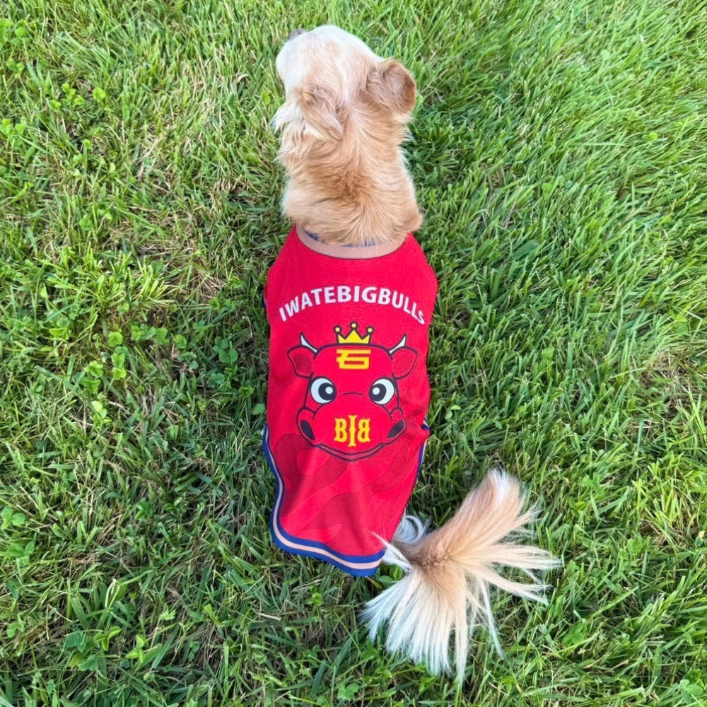 【受注商品】　ドッグユニフォーム　中・大型犬用 詳細画像 1カラー 5