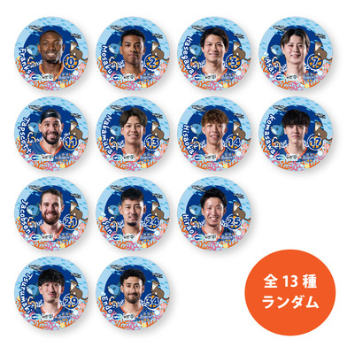 茨城ロボッツ×アクアワールド・大洗　ランダム選手缶バッジ