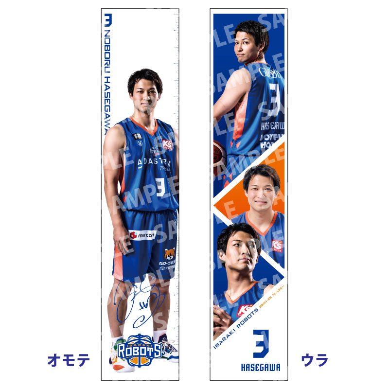 Bリーグ】長谷川暢選手グッズ【秋田ノーザンハピネッツ・茨城