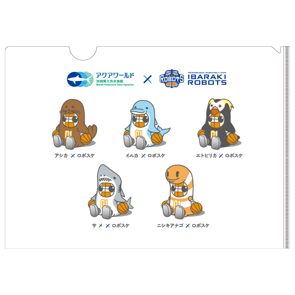 アクアワールド・大洗&times;茨城ロボッツ　クリアファイル 詳細画像 2