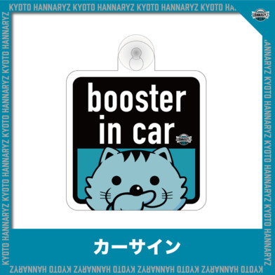 カーサイン(booster in car)