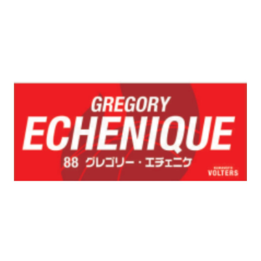 選手ネームタオル 詳細画像 #88 グレゴリー・エチェニケ（Gregory Echenique） 1