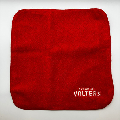VOLTERS 今治刺繡タオル
