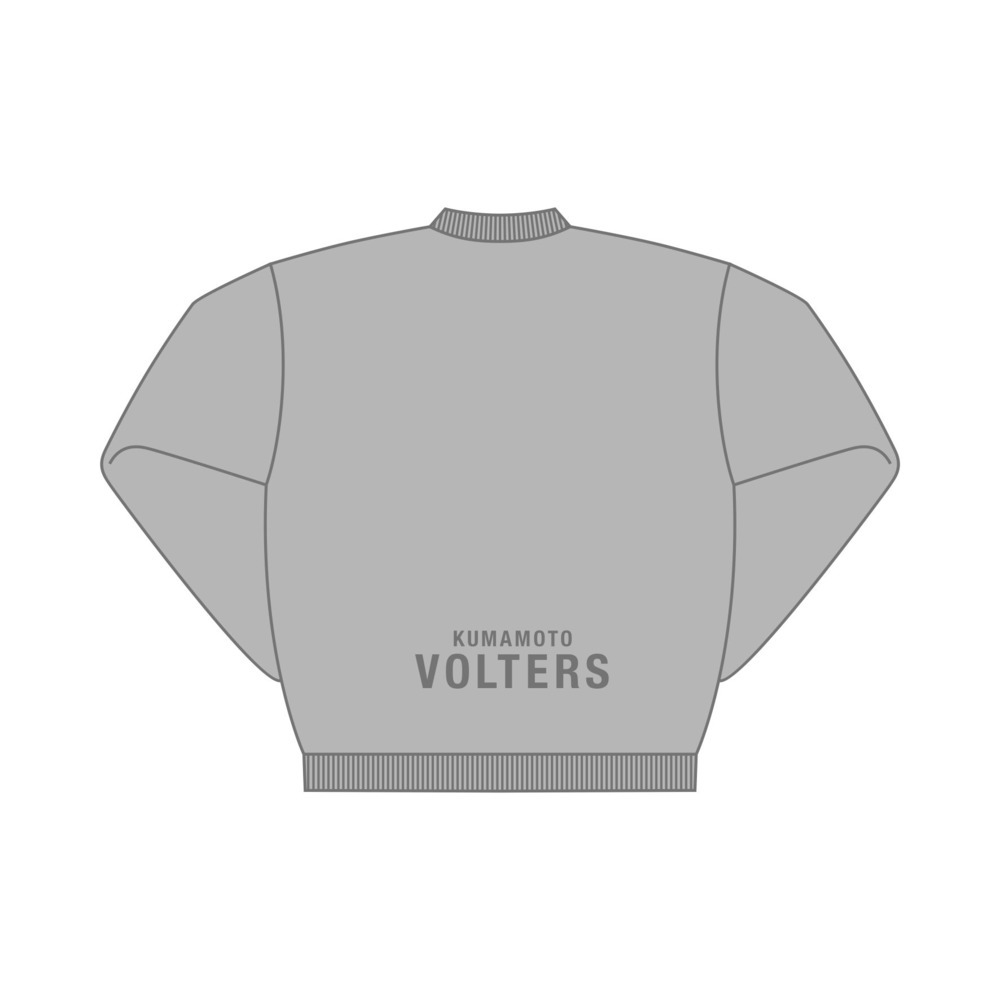 VOLTERSユース応援トレーナー 詳細画像 グレー 2