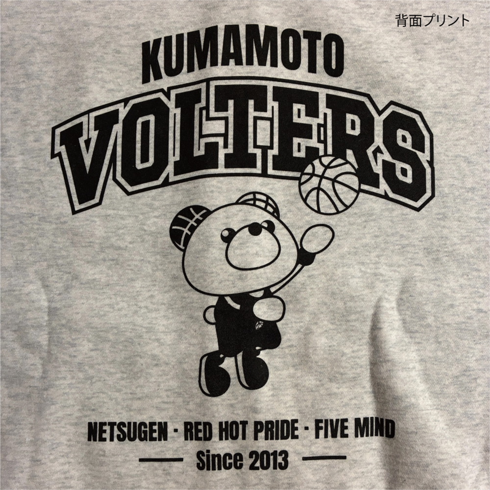 VOLTERSパーカー 詳細画像 アッシュ 3