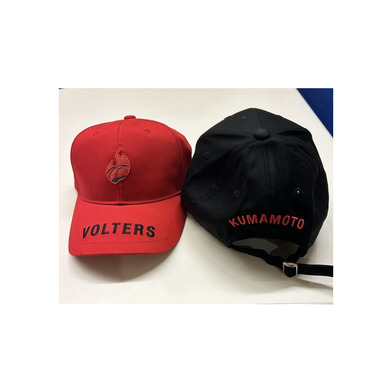 キャップ　プライマリーロゴ