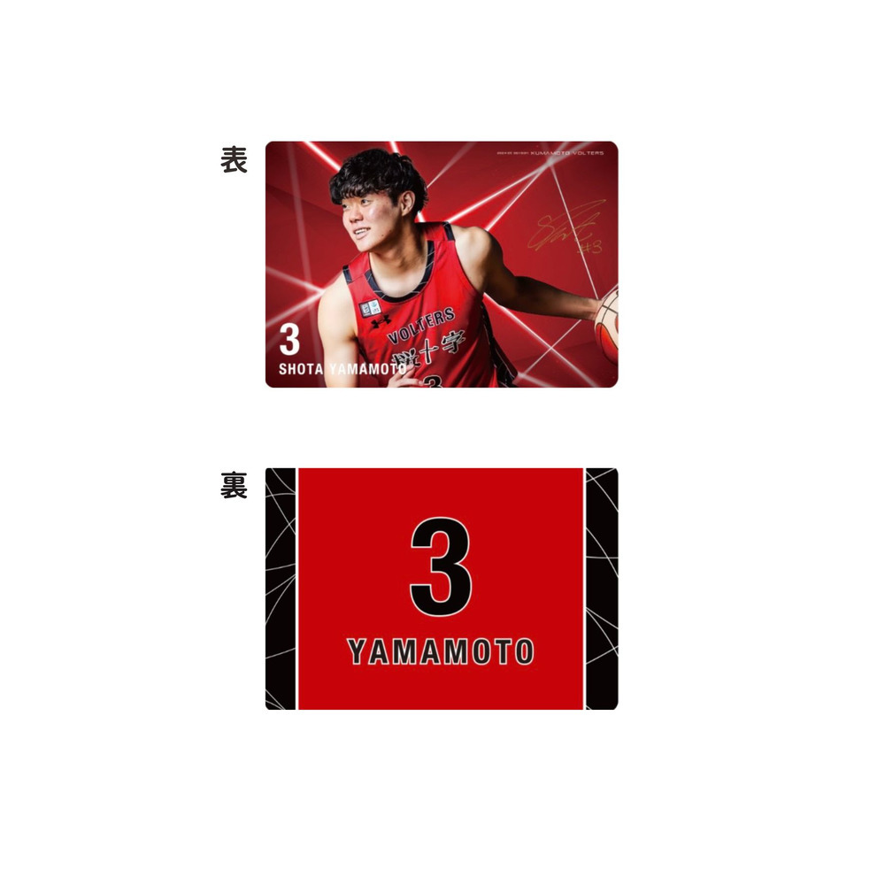 ハードブロマイドL版 詳細画像 #3 山本翔太（Shota Yamamoto） 1